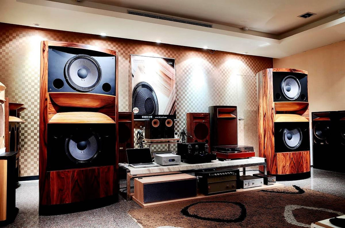 LALS Horn Speakers: A Blend of Art and Acoustics