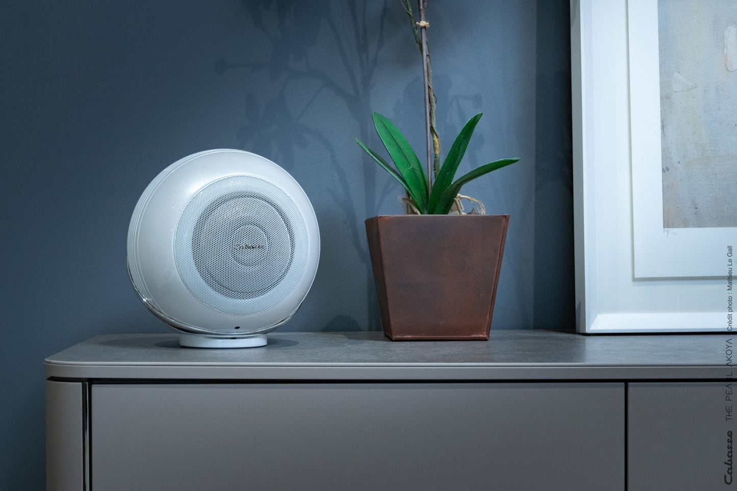 Cabasse Pearl Akoya Wireless Streaming Speaker System (Each) Active Speakers Cabasse-Pearl-Akoya-_-_6
