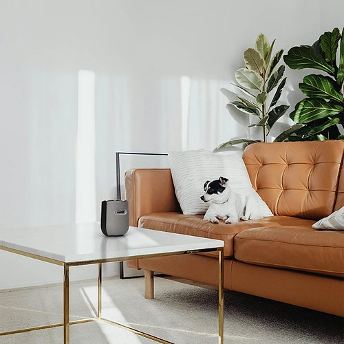 LUFT Mask USB Portable Filterless Air Purifier | Triple Purification Technology