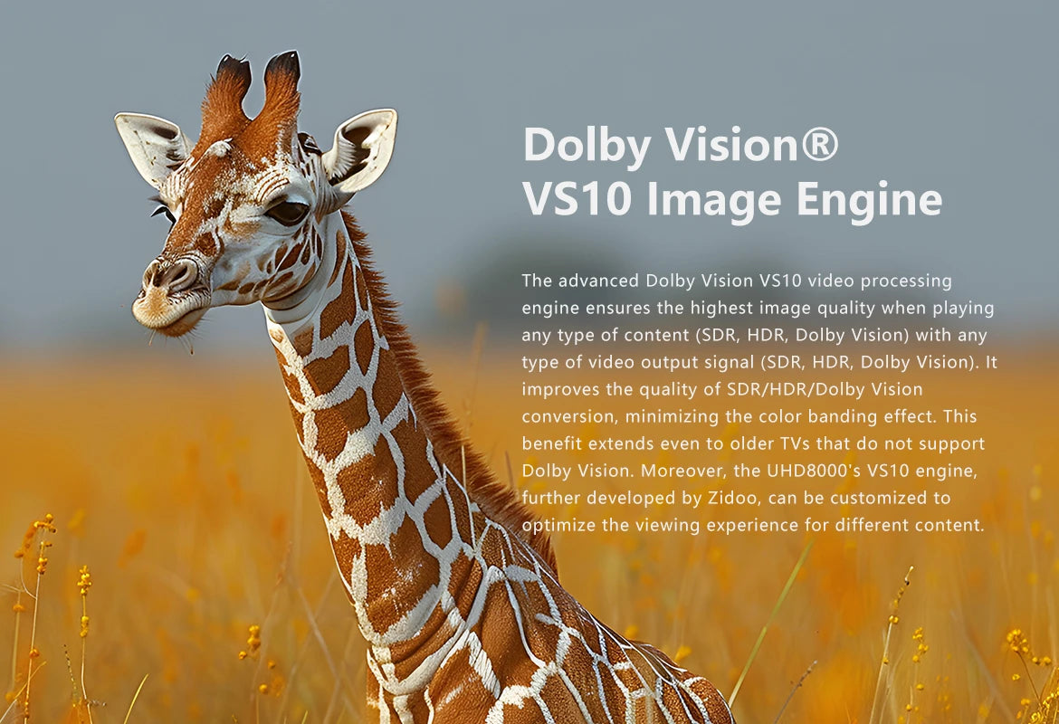 Zidoo UHD8000 HiFi 8K UHD Media Player DACs Zidoo-UHD8000-8K-Player_28