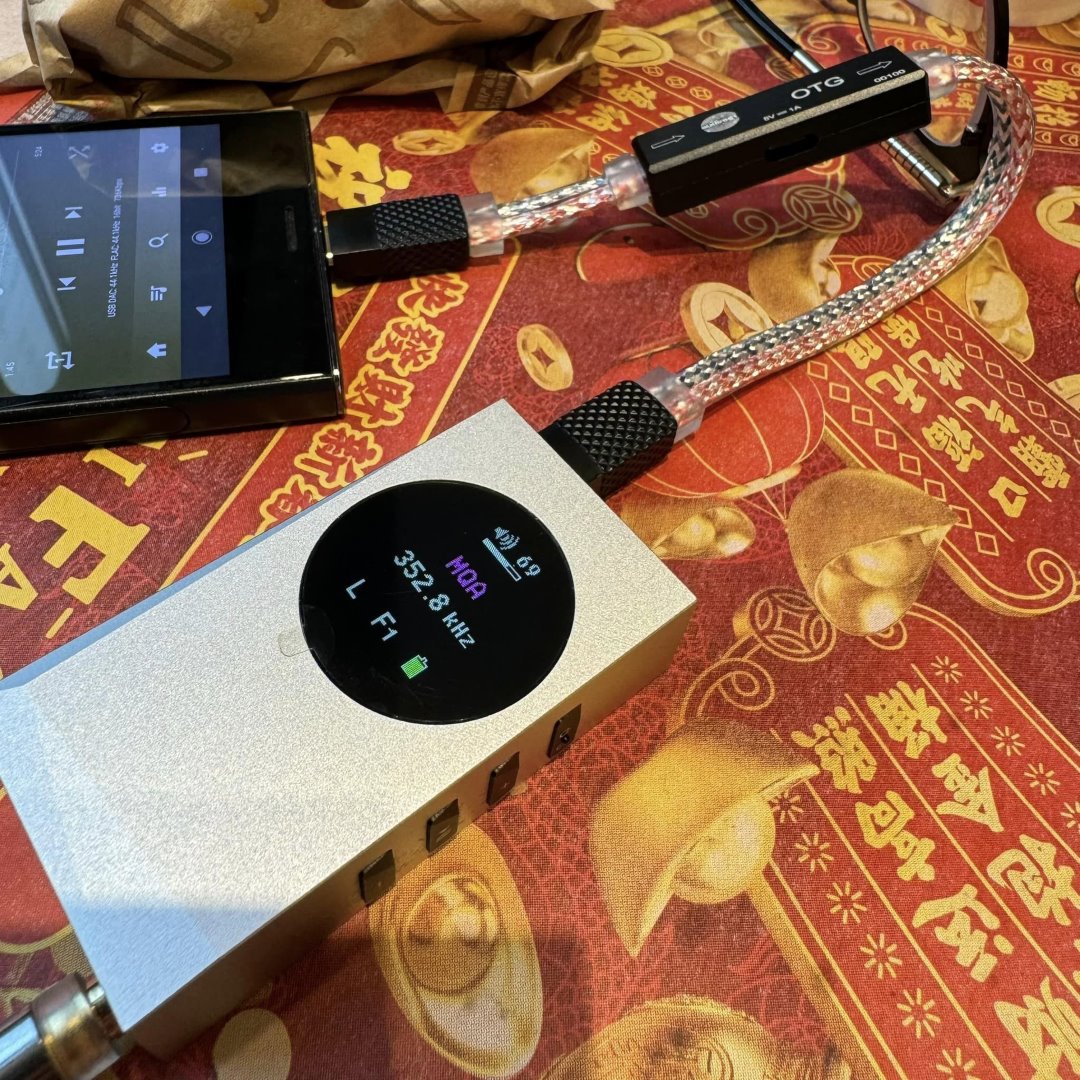 Audirect T-2 OTG USB-C Cable for Simultaneous Charging Cables audirect-t2-cable-photos-in-use_5