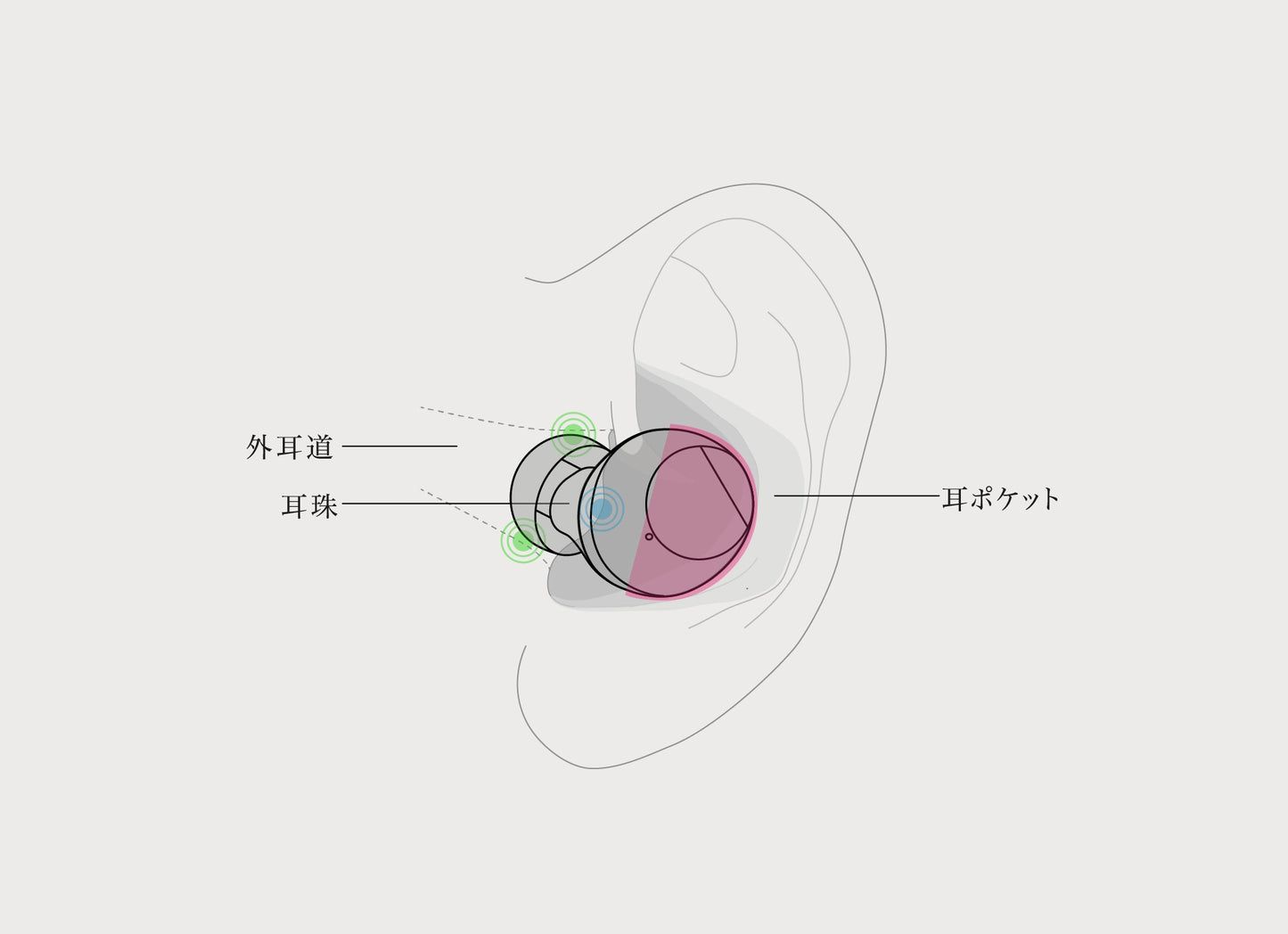 Final ZE3000 SV True Wireless ANC Earbuds