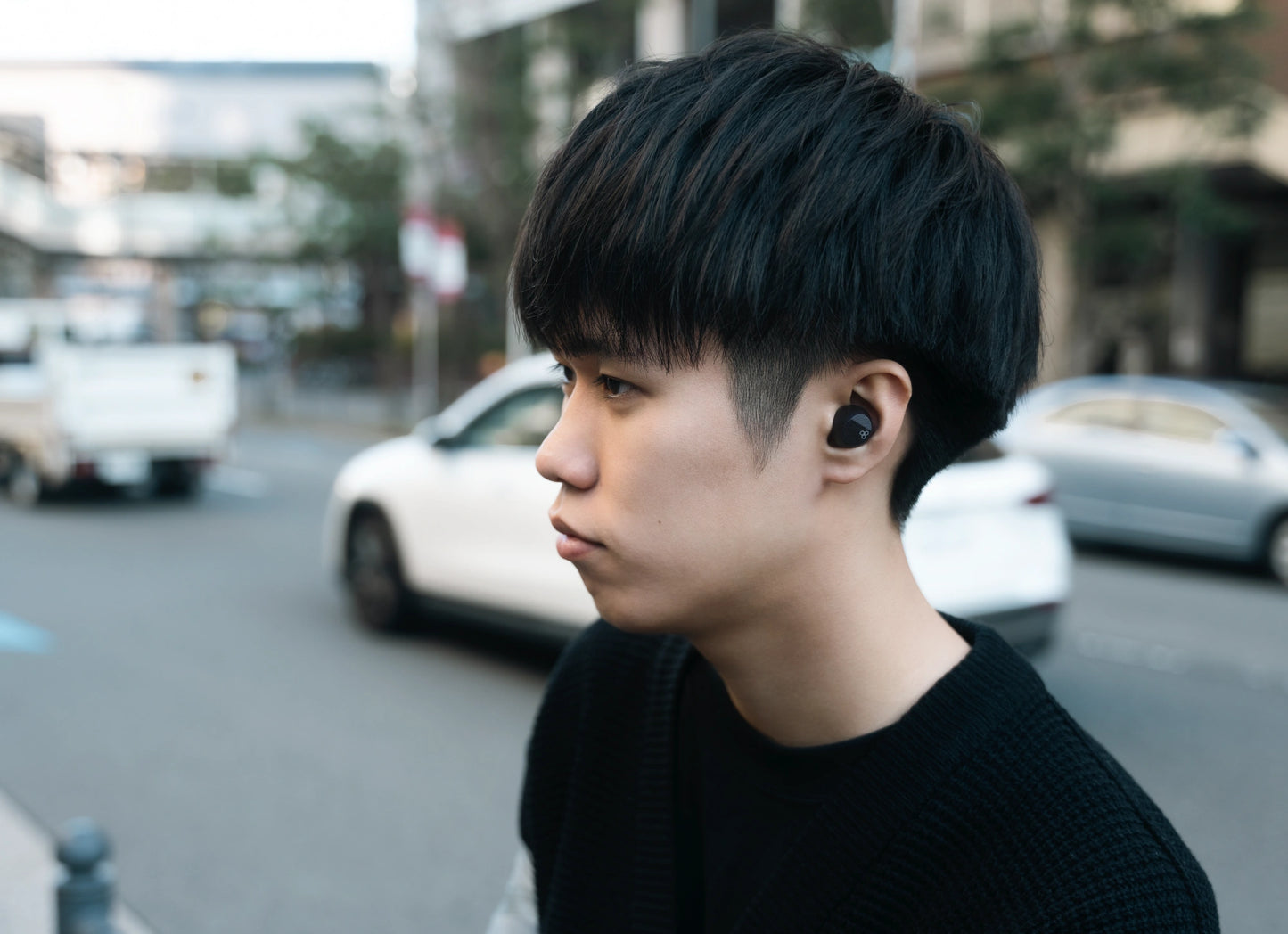 Final ZE3000 SV True Wireless ANC Earbuds