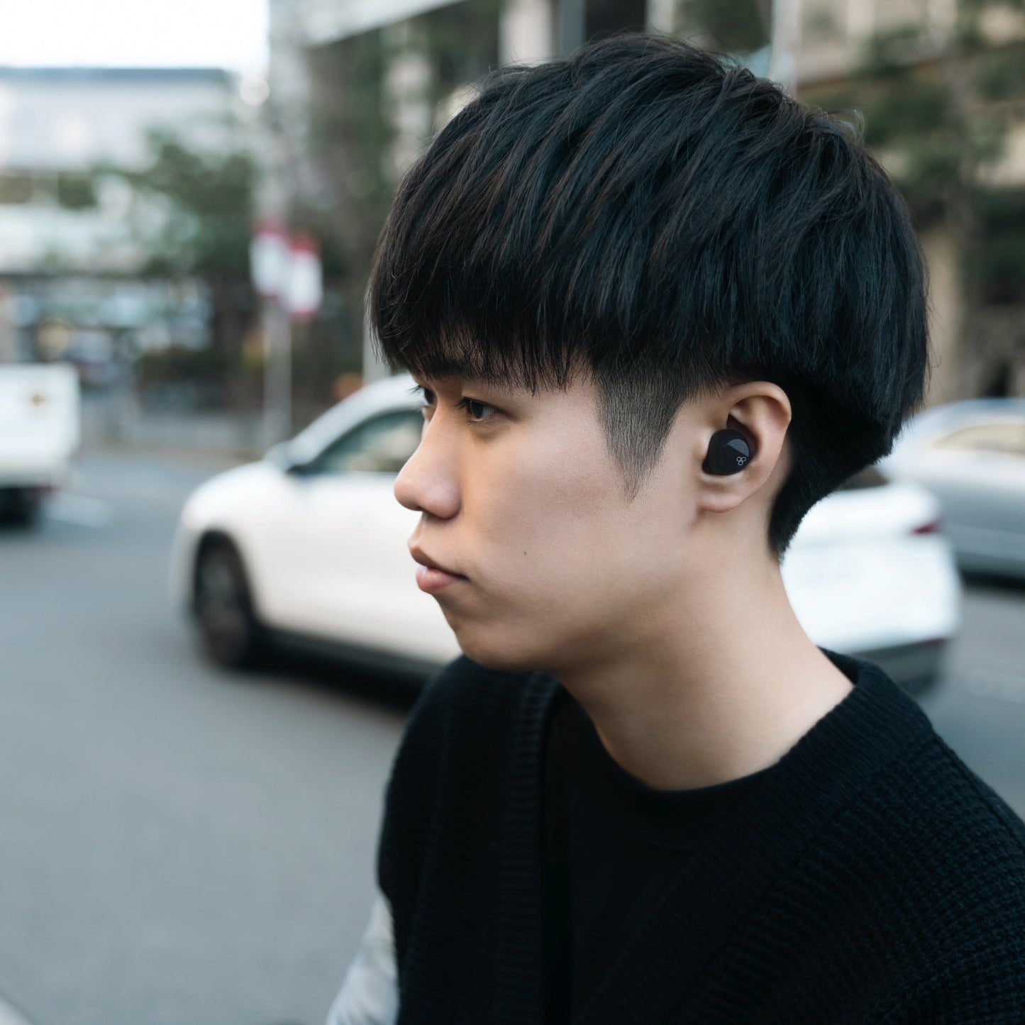 Final ZE3000 SV True Wireless ANC Earbuds