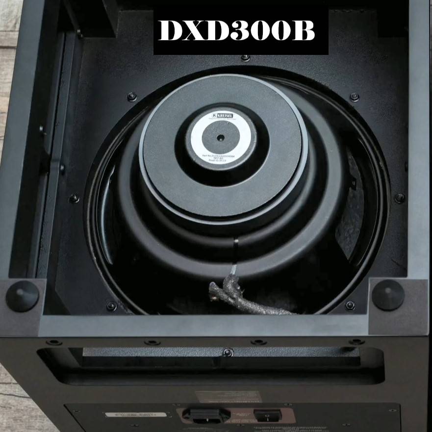Ken Kreisel DXD300A (B) Active Subwoofer Subwoofers Ken-Kreisel-DXD300B-Active-Subwoofer-_12