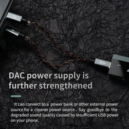BGVP TC-1 USB-C Cable for Separated Power Supply
