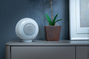 Cabasse Pearl Akoya Wireless Streaming Speaker System (Each)