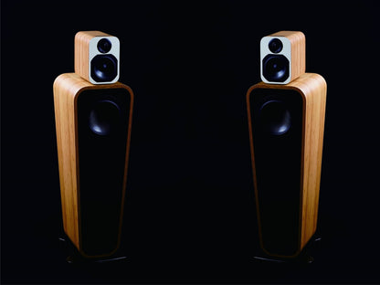 DA&T Xi-51 DSP Active Speaker (Pair)