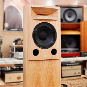 LALS Horn Speakers: A Blend of Art and Acoustics