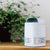 best air purifiers for allergies that improve air quality without hepa filter