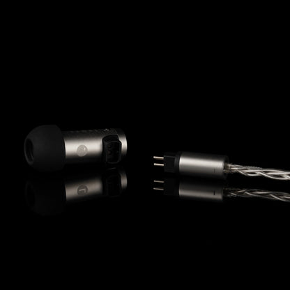 Final S4000 In-Ear Headphones