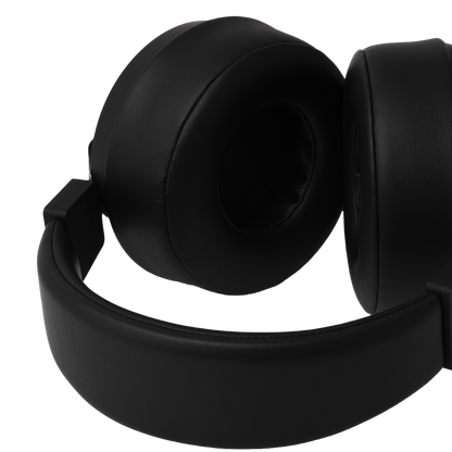Final DX3000 CL Over-Ear Headphones | Closed-Back | Washi Carbon Diaphragm