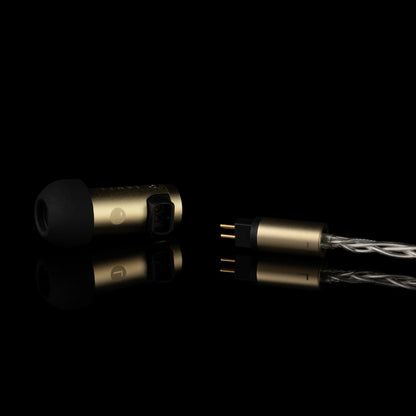 Final S5000 In-Ear Headphones