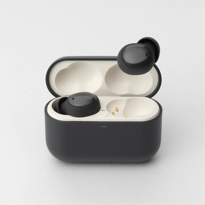 Final ZE500 ASMR True Wireless Earbuds | Standard Edition