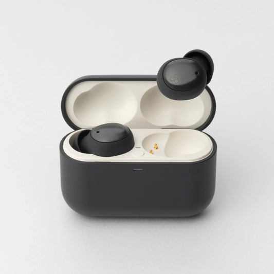Final ZE500 ASMR True Wireless Earbuds | Standard Edition
