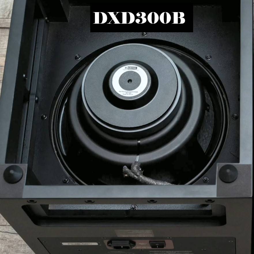 Ken Kreisel DXD300A (B) Active Subwoofer Subwoofers Ken Kreisel Active Audio Home Theater Speakers Subwoofer