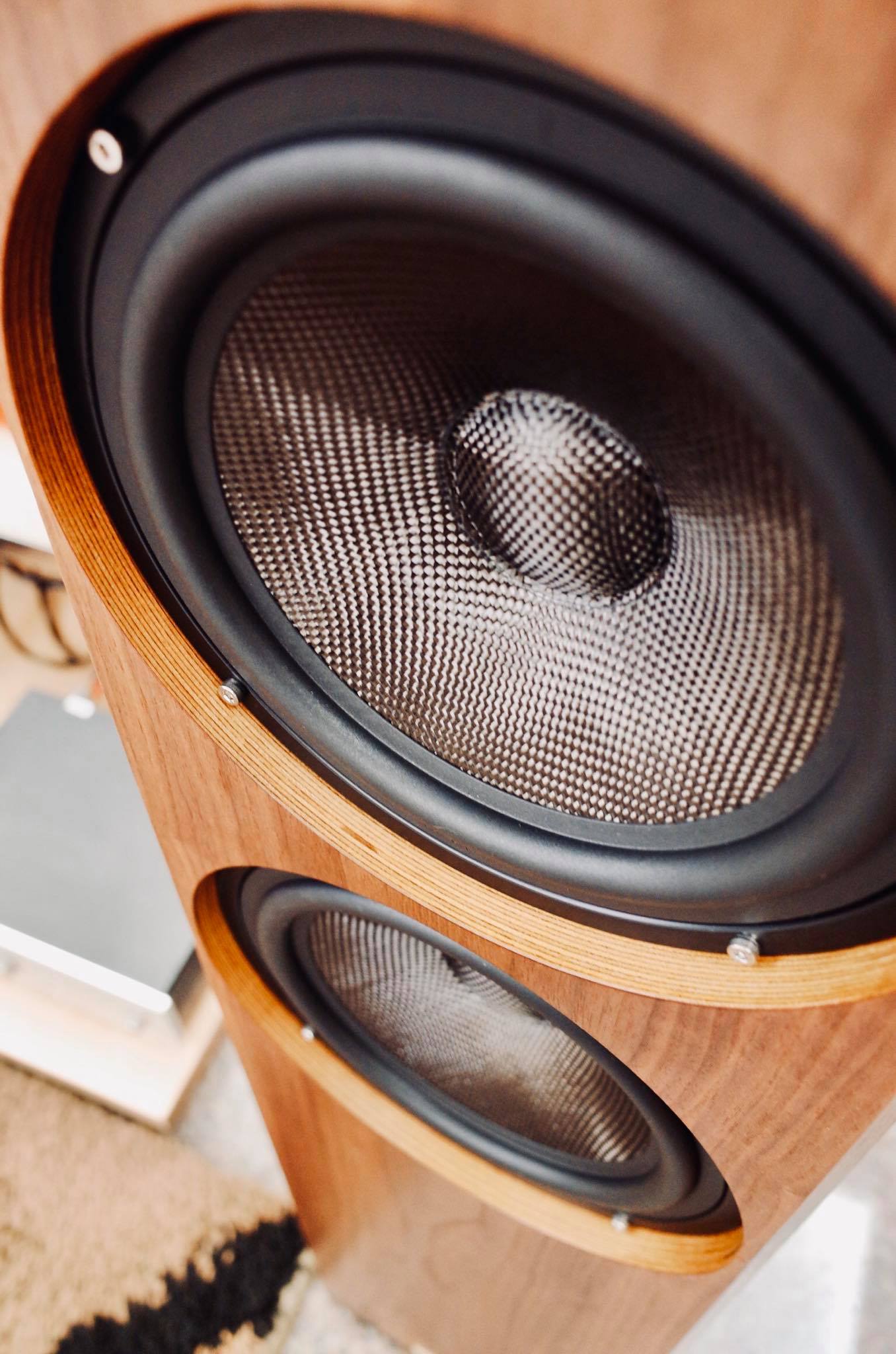 LALS Classical 82 Wooden Horn Floorstanding Speakers (Pair