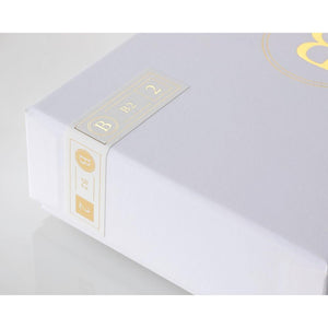 Final Audio B2 In-Ear Headphones - Pifferia Global